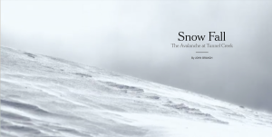 Cover of Snow Fall