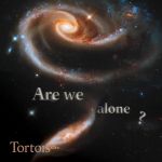 Icon of Tortoise Media
