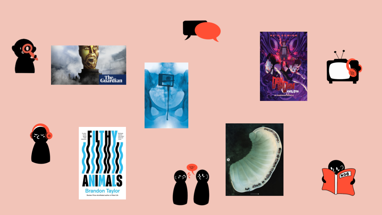 Our Picks Banner