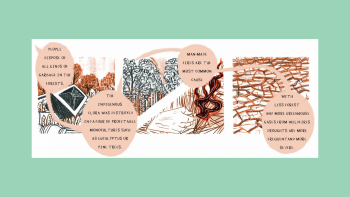 Screenshot of Tânia Alexandra Cardoso's comic
