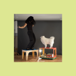 Examples of pet furniture